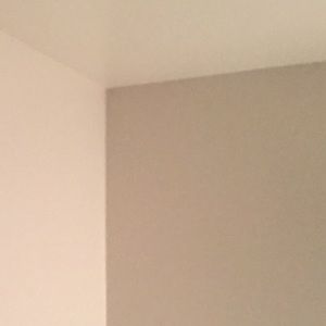 Meet your Posher, Pepe